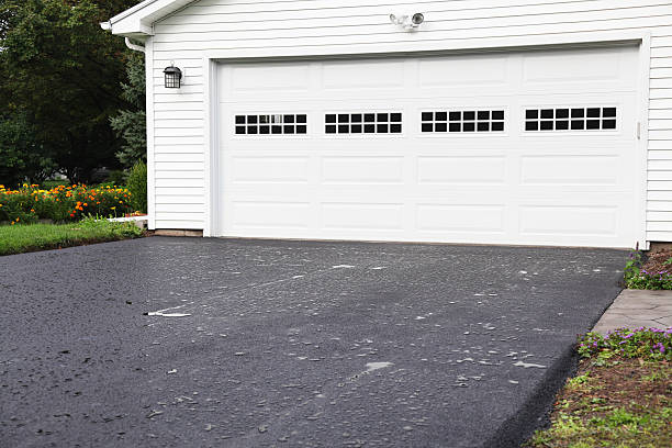 Best Hoarding Cleanup  in Edgewater, FL